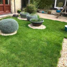 Techniques de taille pour maintenir un jardin esthétique et en bonne santé Sainte-Genevieve-des-Bois